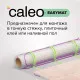 Нагревательный мат CALEO EASYMAT 140 Вт/м2 12,0 м2
