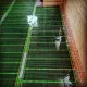 Пленка электронагревательная инфракрасная Russian Heat Eco OVAL (Ширина 80 см)