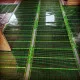 Пленка электронагревательная инфракрасная Russian Heat Eco OVAL (Ширина 80 см)
